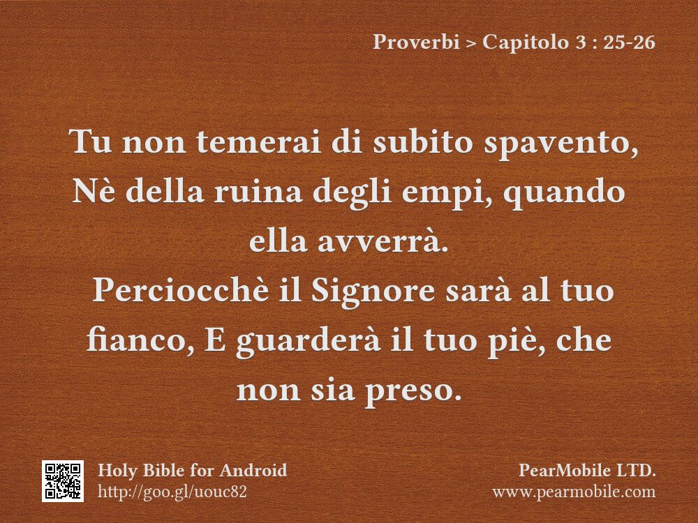 Proverbi, Capitolo 3:25-26